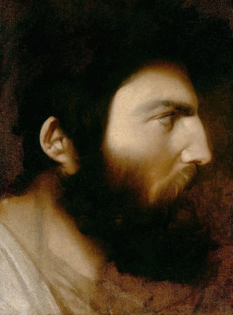 Profil af skægget mand - Jean-Auguste-Dominique Ingres