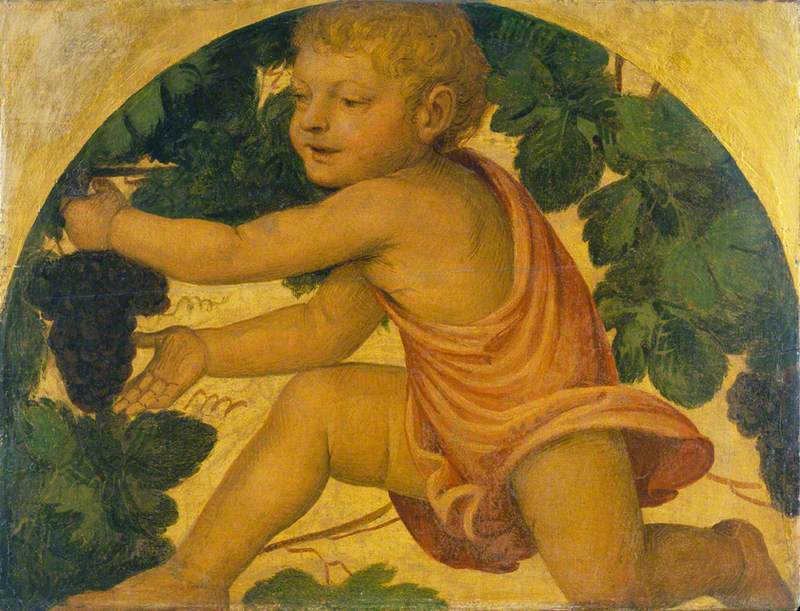 Putto der plukker druer - Bernardino Luini