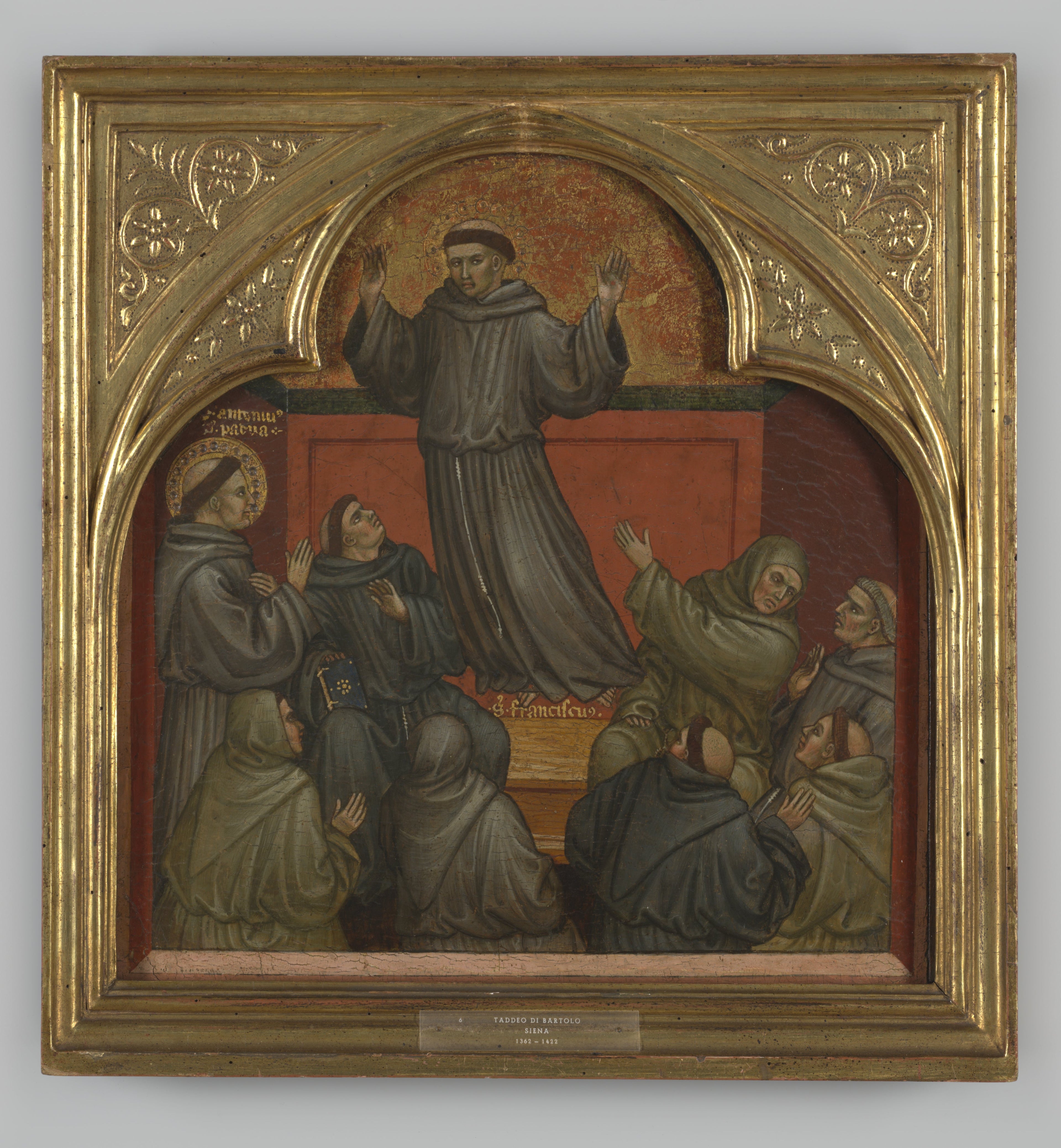 Q117359521 - Taddeo di Bartolo - Alpha Reproduction