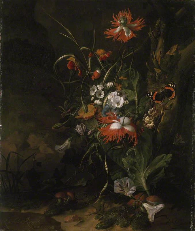 Nature morte de sous-bois fleurie — Ashmolean - Rachel Ruysch