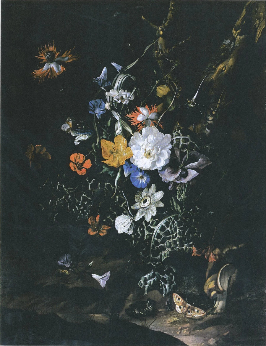 Fleurs à la lisière d’un bois - Rachel Ruysch