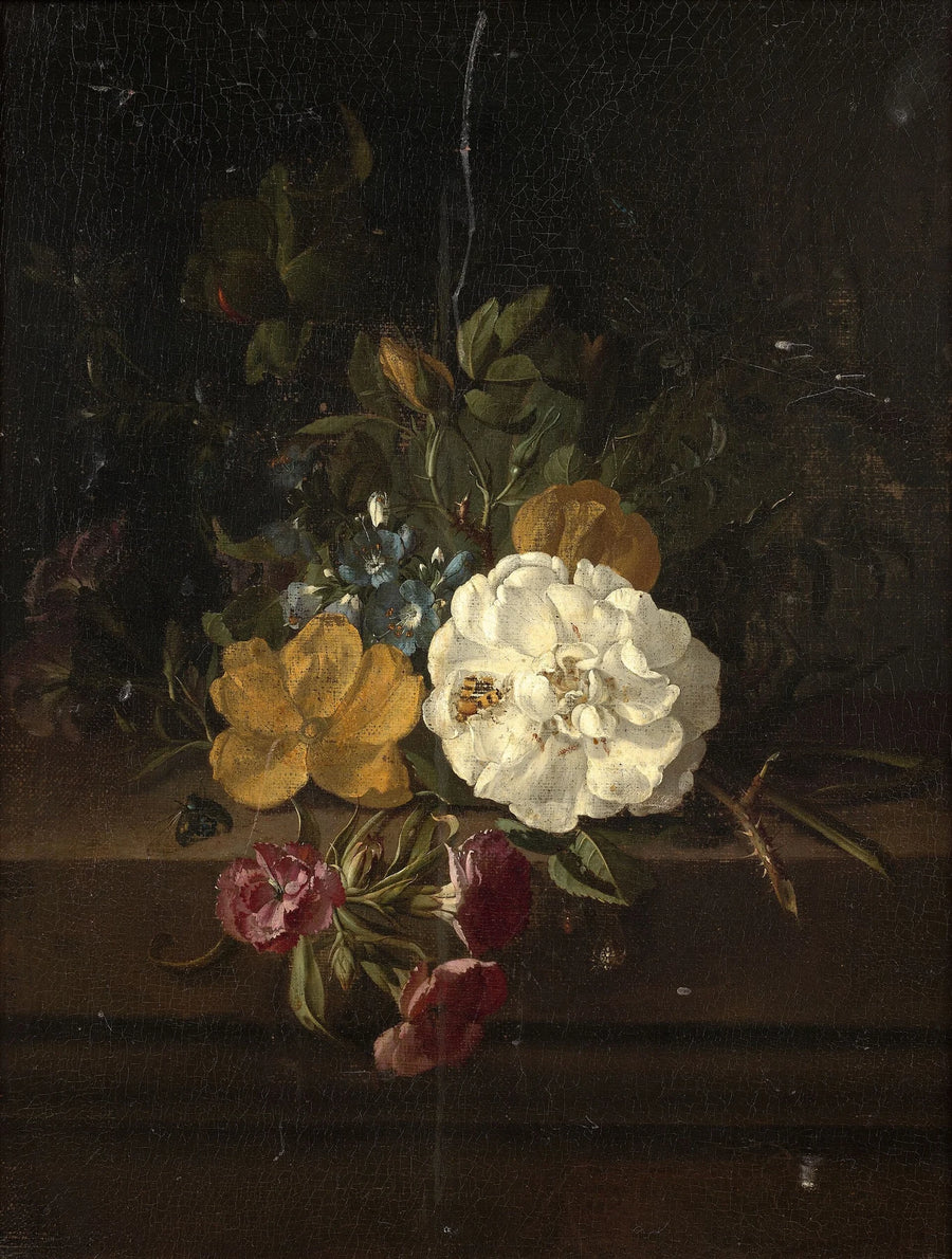 Roses, millepertuis, œillet, fausse-gentiane et pavot - Rachel Ruysch