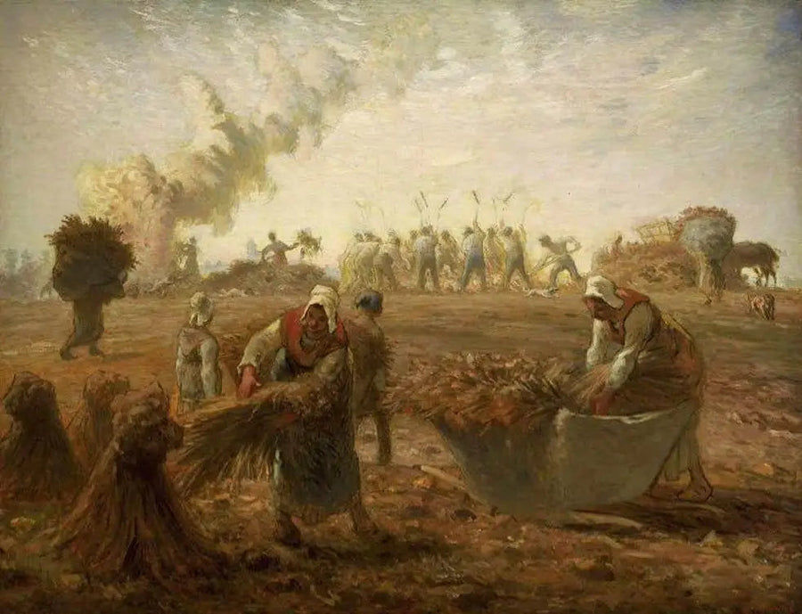 Høst af boghvede, sommer - Jean-François Millet