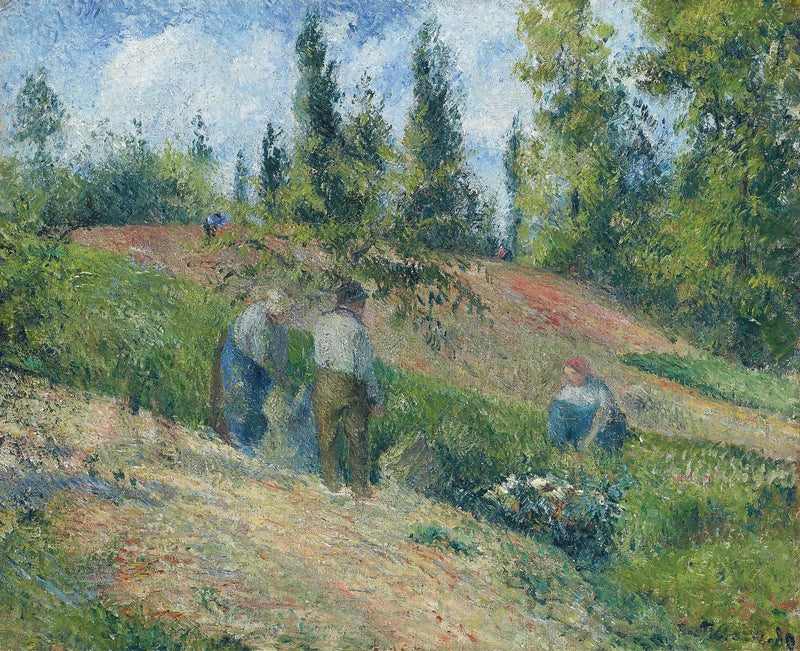 Æblehøst, Pontoise - Camille Pissarro