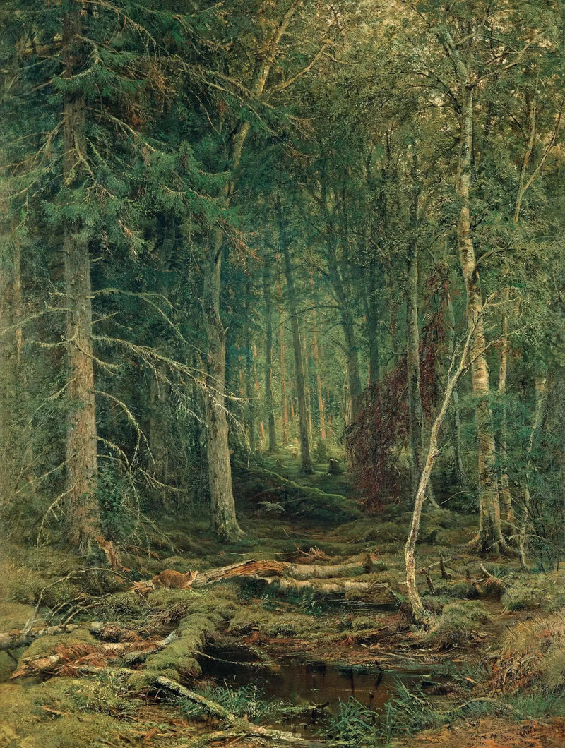 Uudnyttet skovområde - Ivan Chichkine