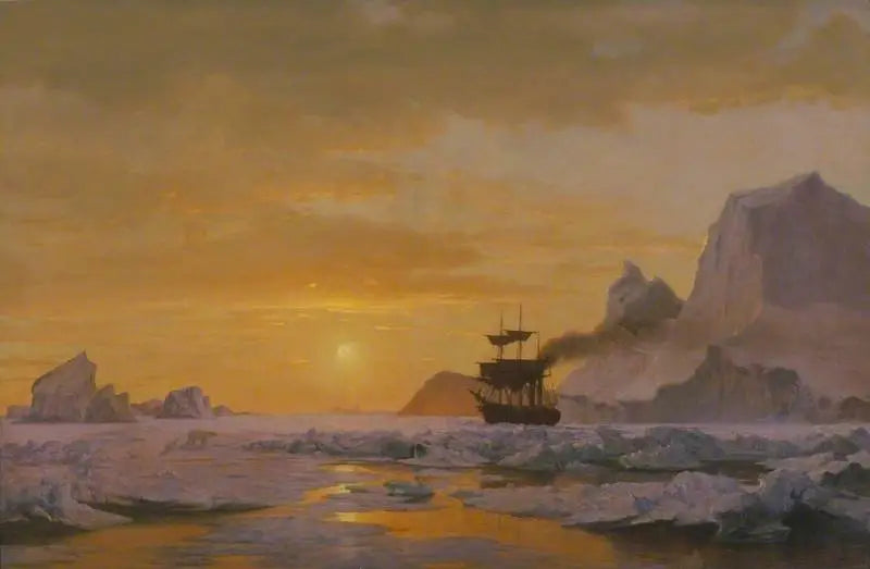 Arktiske regioner - William Bradford