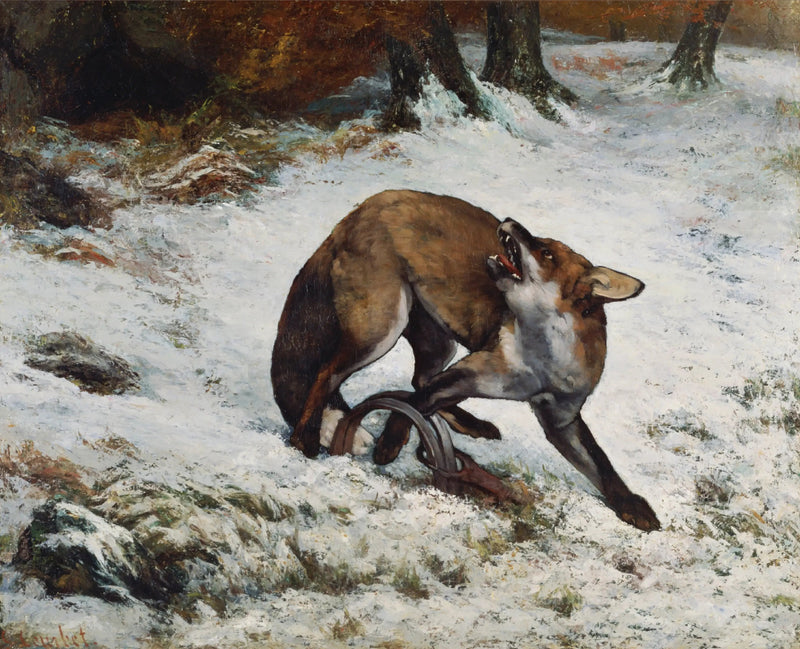Ræv fanget i en fælde - Gustave Courbet