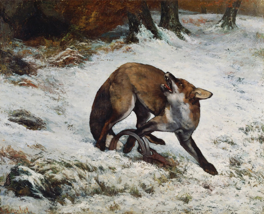 Ræv fanget i en fælde - Gustave Courbet