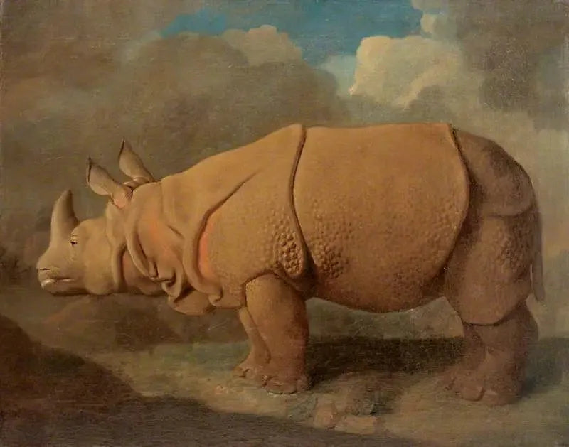 Næsehorn - George Stubbs