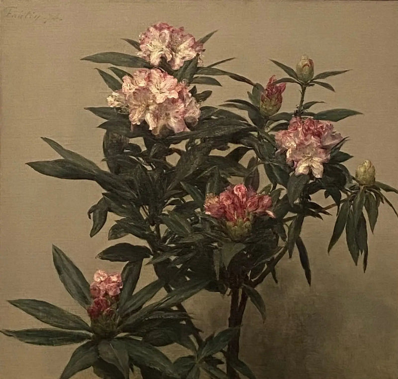 Rhododendroner - Henri Fantin-Latour