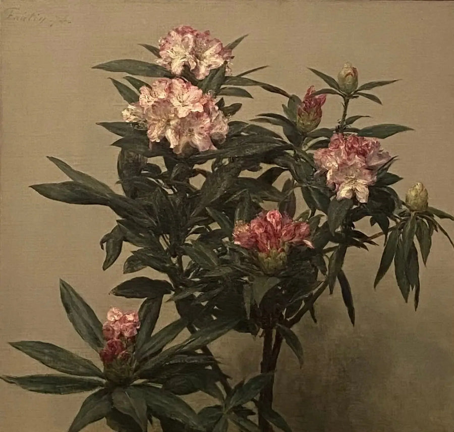 Rhododendroner - Henri Fantin-Latour