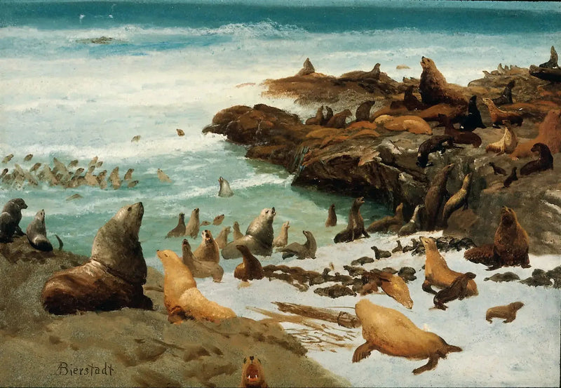 Rocailles de phoques, Farallons - Albert Bierstadt