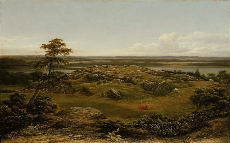 Klipper i New England - Martin Johnson Heade