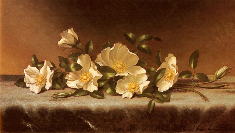 Roser Cherokee på lyst gråt stof - Martin Johnson Heade
