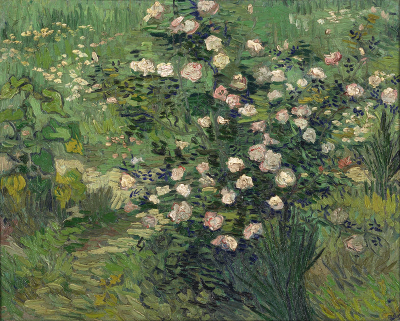 Rosen - Vincent van Gogh