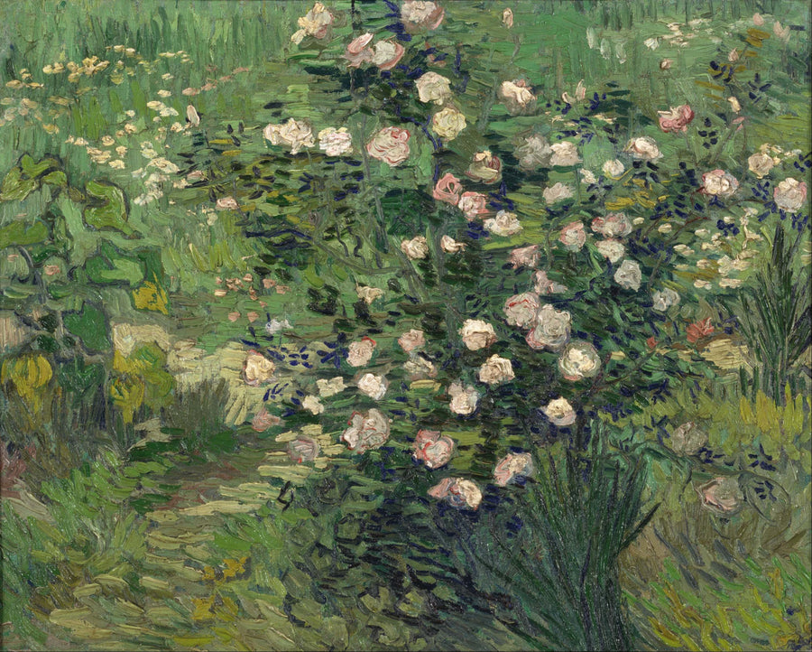 Rosen - Vincent van Gogh