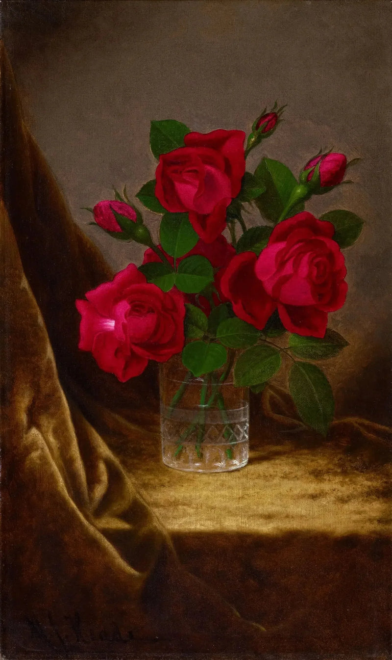 Jacqueminot-rosen - Martin Johnson Heade