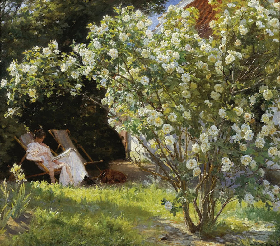Roser - Peder Severin Krøyer