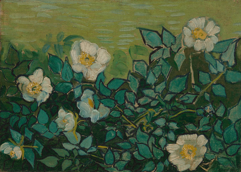 Vilde roser - Vincent van Gogh