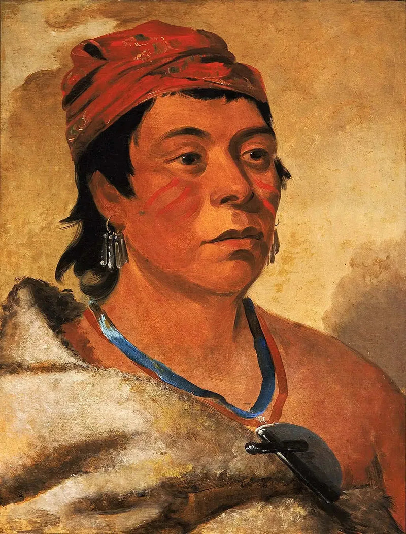 Round Island, en kriger - George Catlin