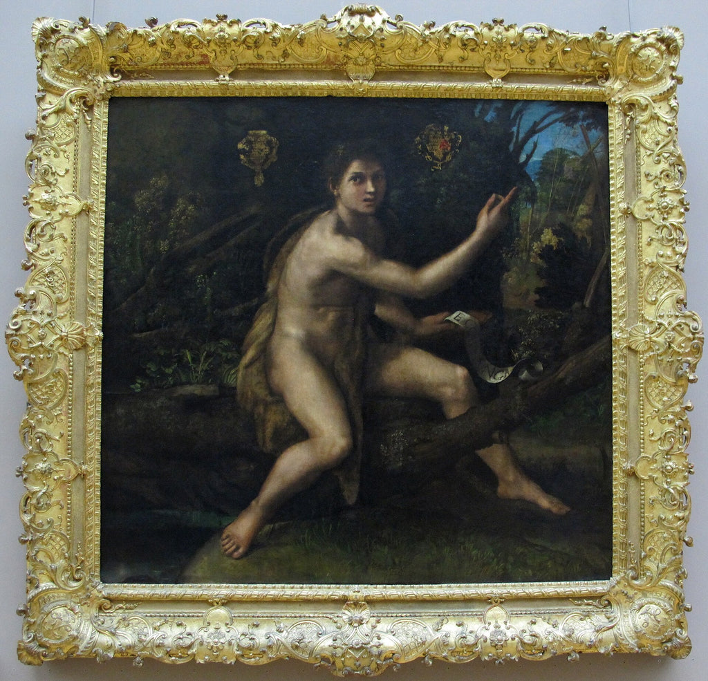 Sankt Johannes Døberen i ørkenen, der peger på Korset for Passionen - Raphael Sanzio