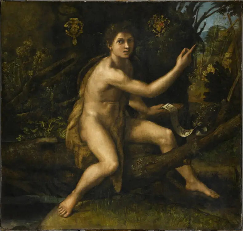 Sankt Johannes Døberen i ørkenen - Raphael Sanzio