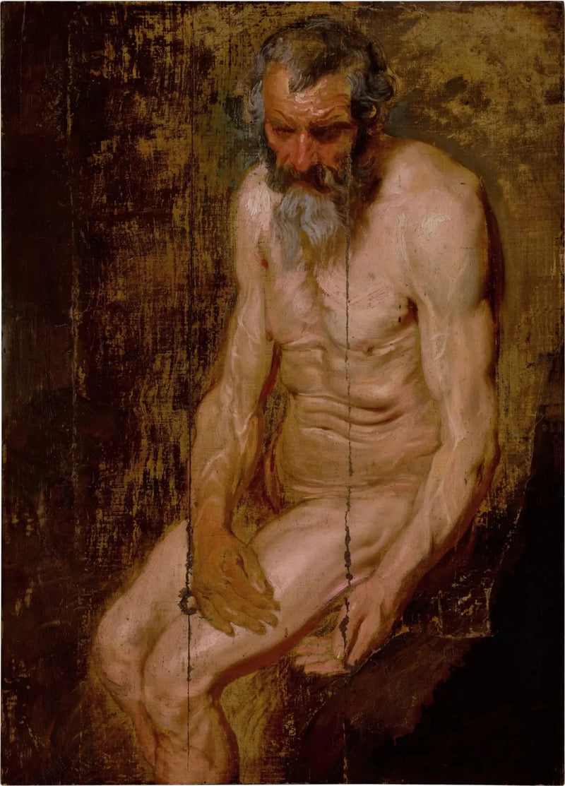 Sankt Jerom - Antoine van Dyck