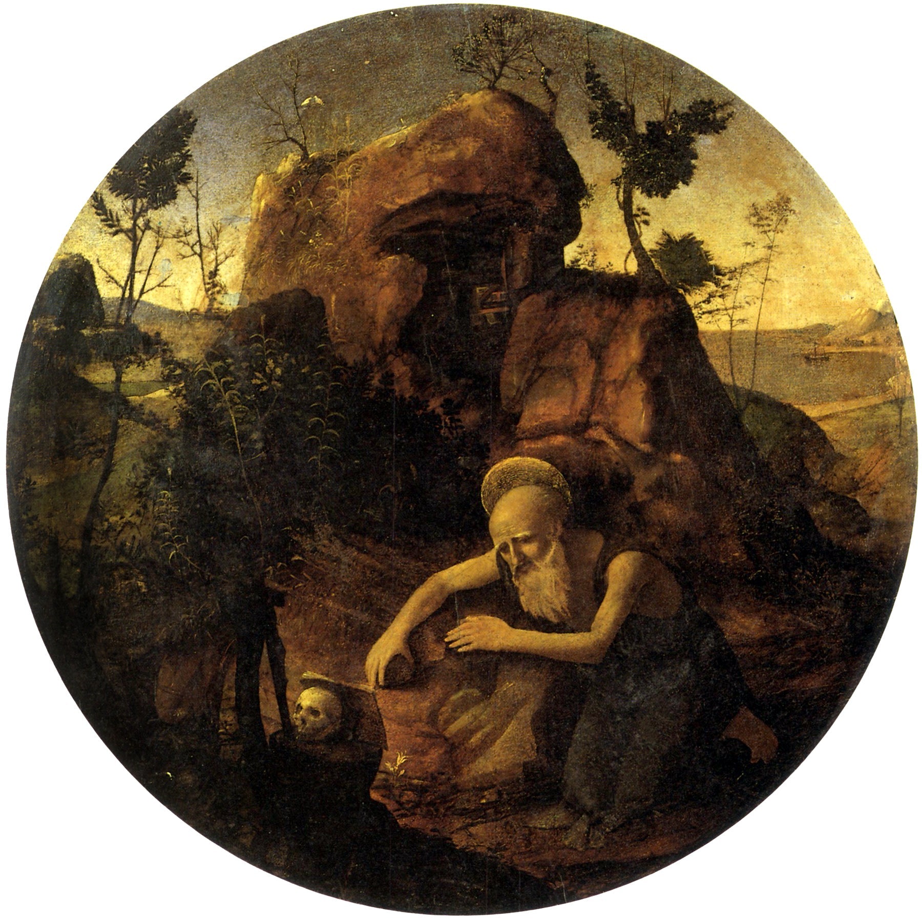 Saint Jérôme en méditation - Piero di Cosimo