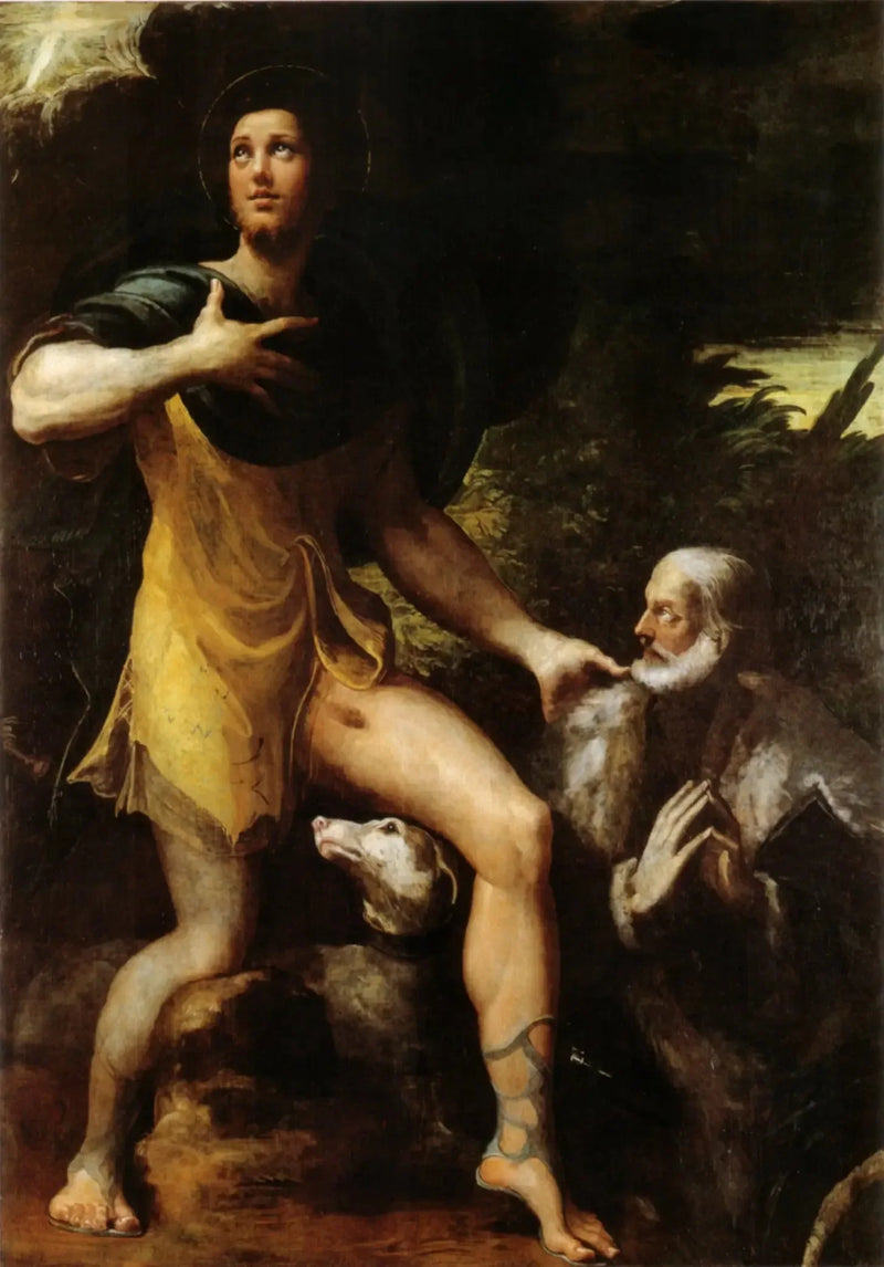 Saint Roch og en donator - Parmigianino