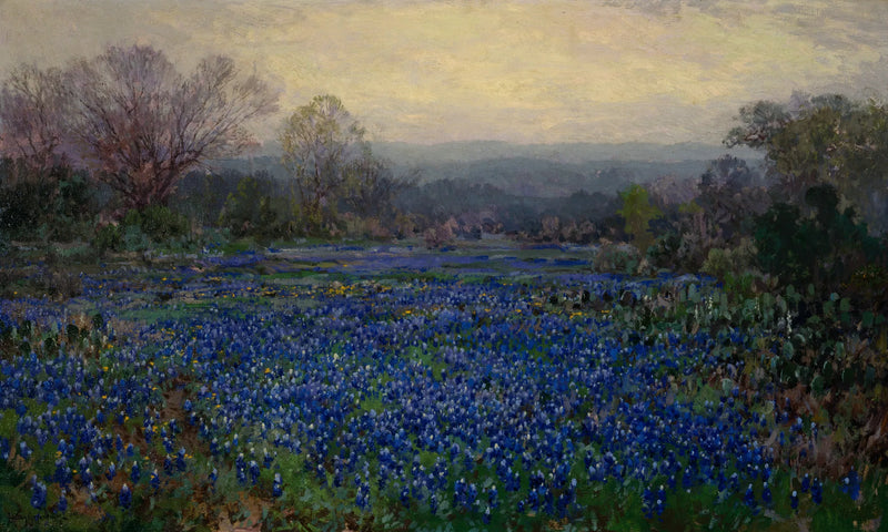 Uden titel (Mark med blå lupiner) - Julian Onderdonk