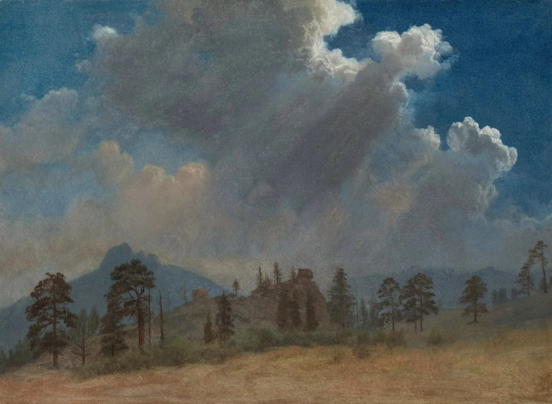 Grantræer og tordenbyge - Albert Bierstadt