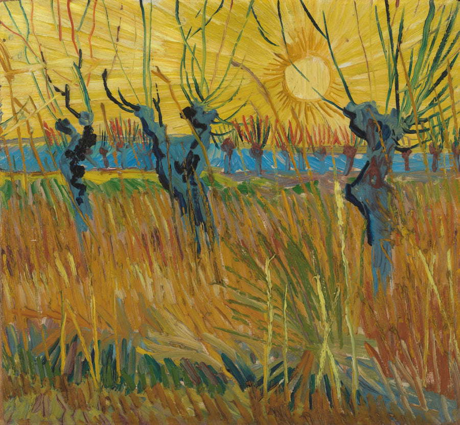 Piletræer i solnedgang - Vincent van Gogh