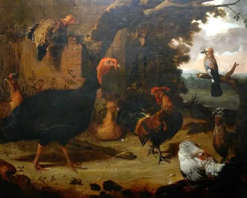 Gårds-scene, den sorte kalkun - Melchior de Hondecoeter