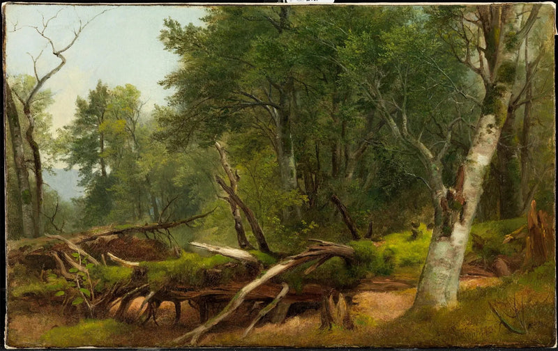 Skovscene i Catskills - Asher Brown Durand