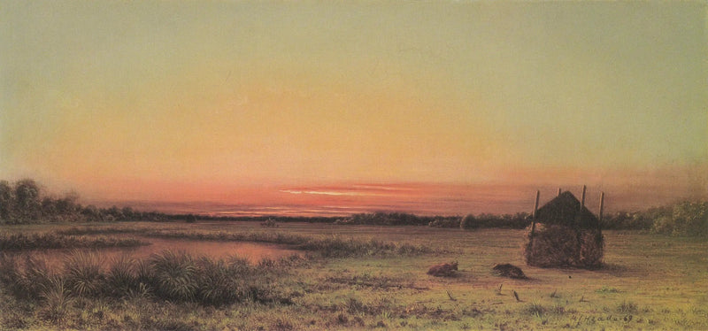 Marisescene: to kvæg i en mark - Martin Johnson Heade