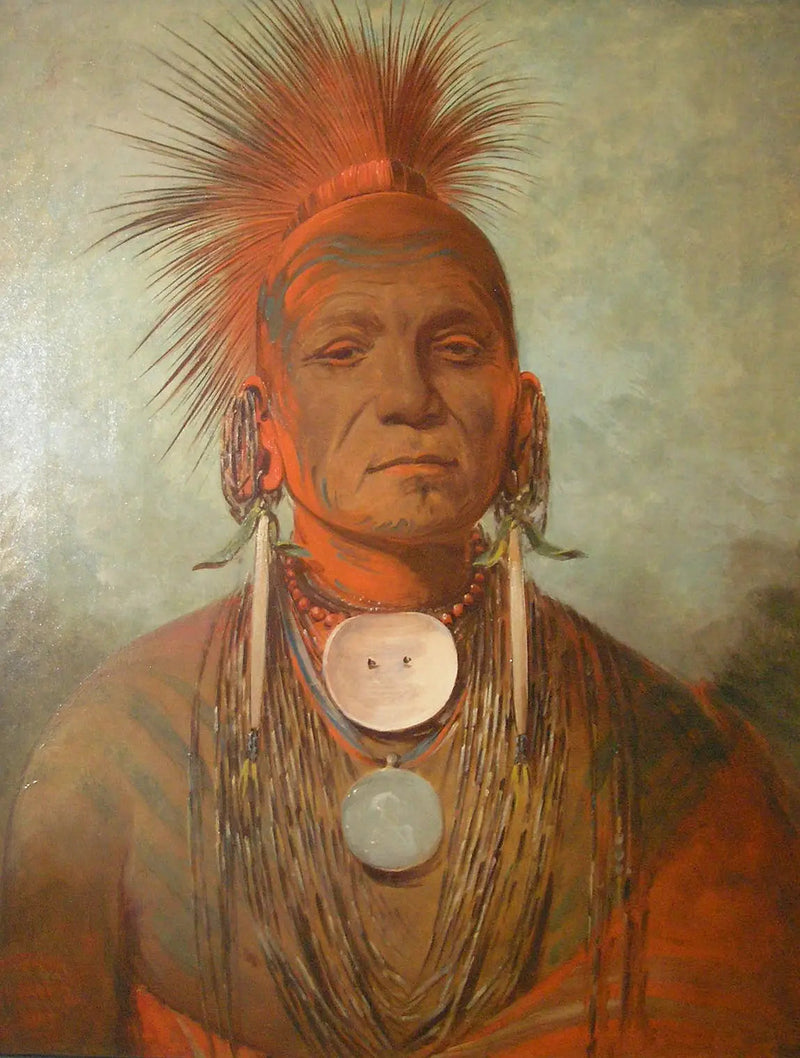 Se-non-ty-a, en helbreder fra Iowa - George Catlin