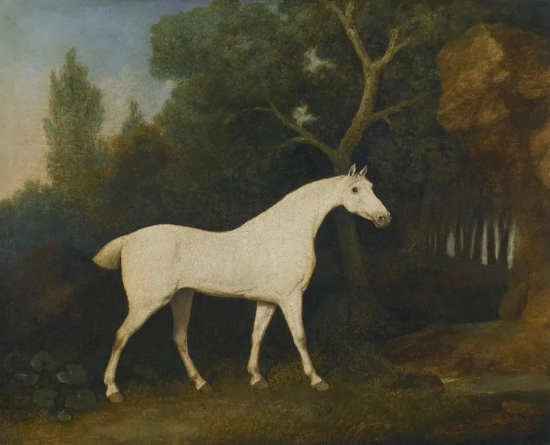 Selim, en grå jæger i en indhegning - George Stubbs