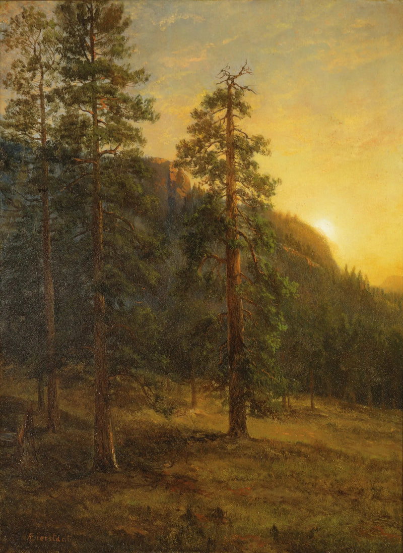 Californiske Sequoias - Albert Bierstadt