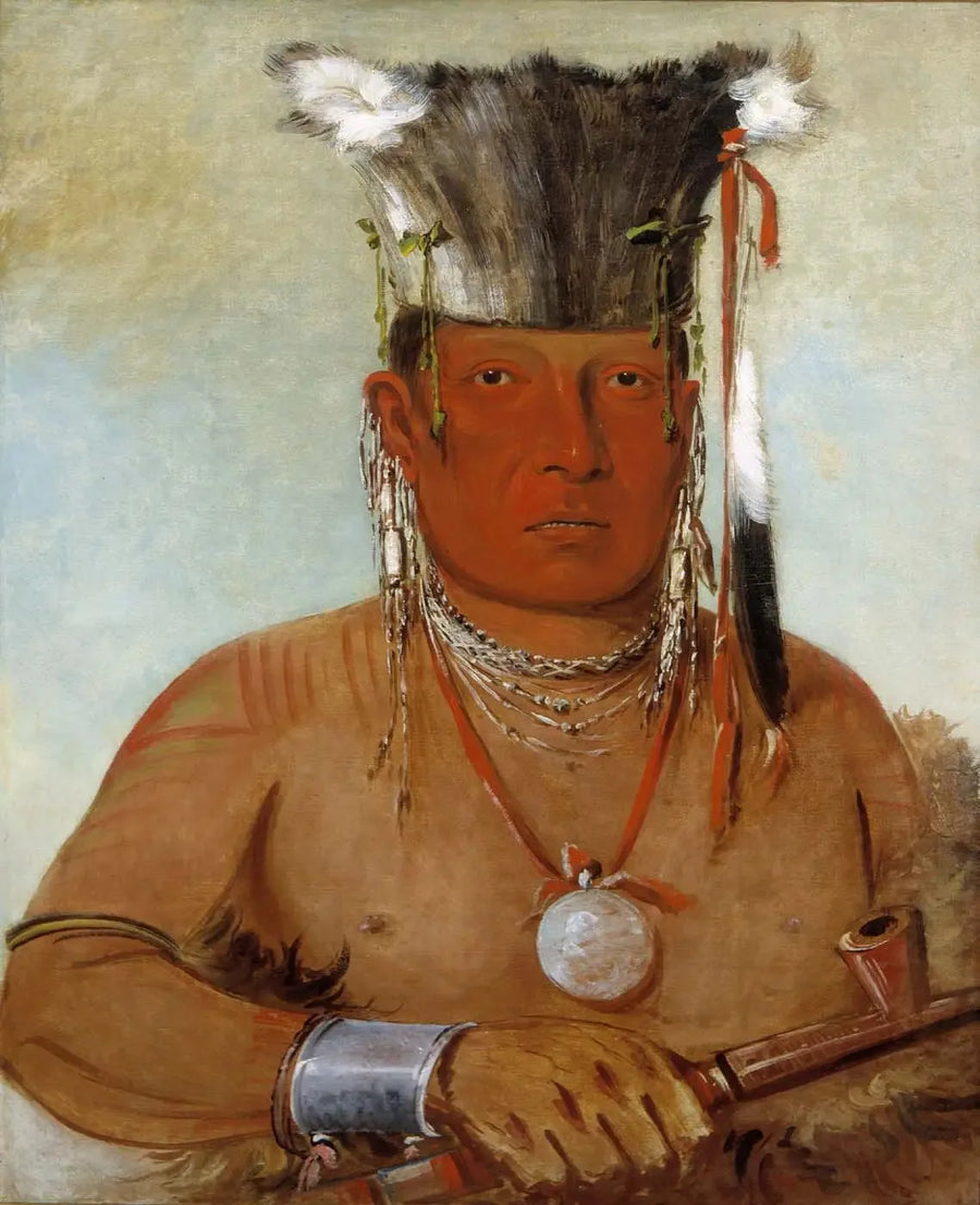 Sháw-da-mon-nee, her er han, en flink - George Catlin