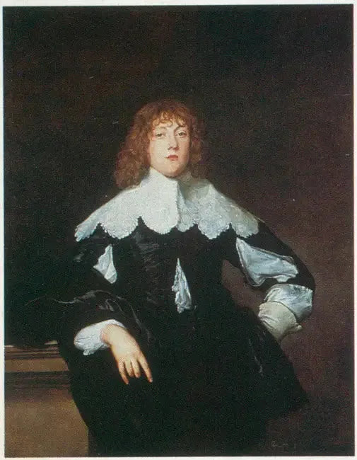 Sir John Borlase, 1. baron, deputé (1619-1672) - Antoine van Dyck