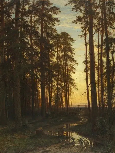 Aften i en fyrreskov - Ivan Chichkine