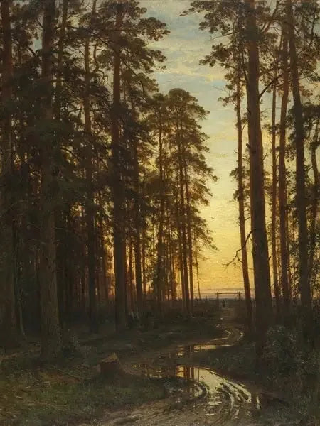 Aften i en fyrreskov - Ivan Chichkine