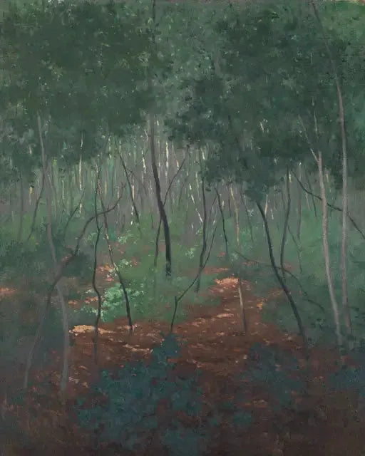 Undervegetation, lette træer - Félix Vallotton