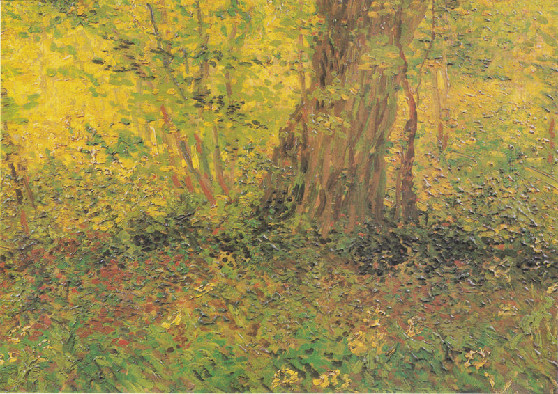 Skovbund - Vincent van Gogh
