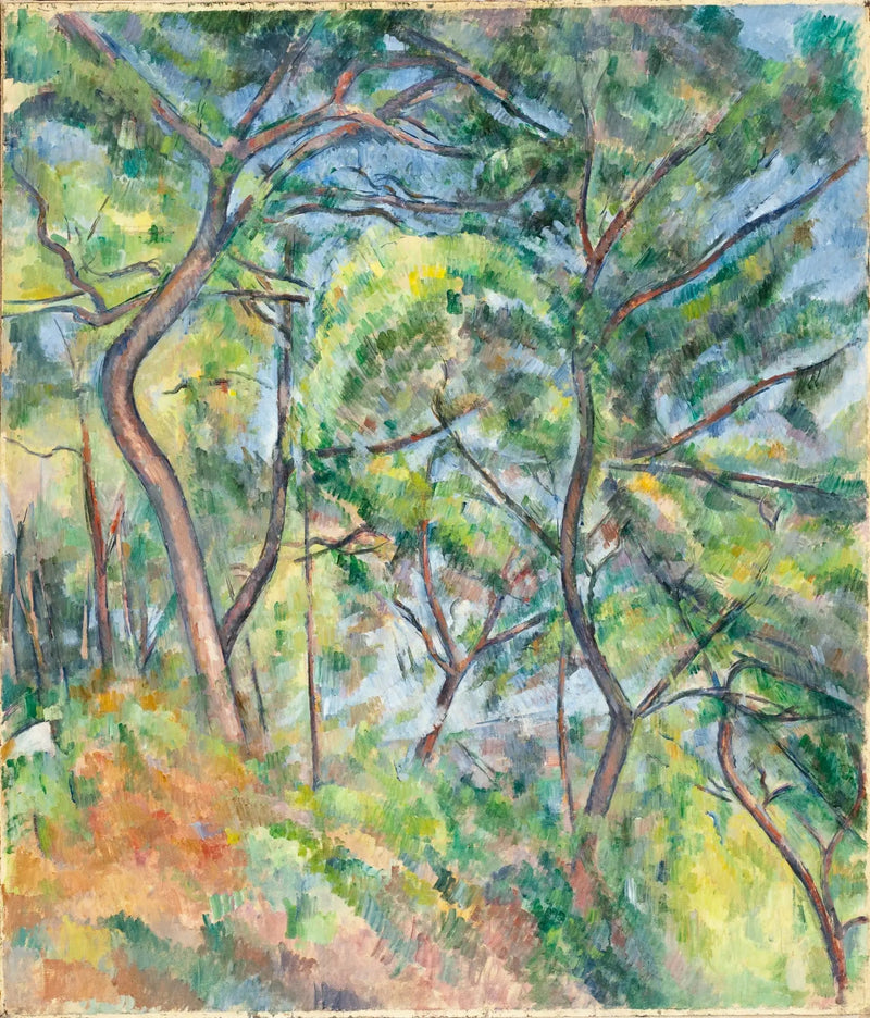Underskov - Paul Cézanne