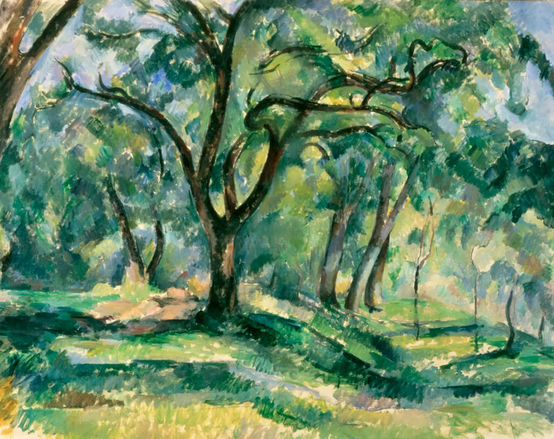 Underskov - Paul Cézanne