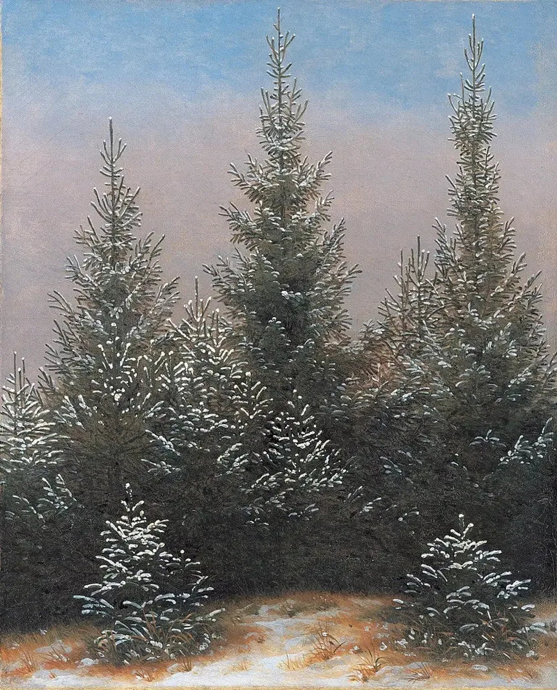 Snedækket fyrreskov - Caspar David Friedrich