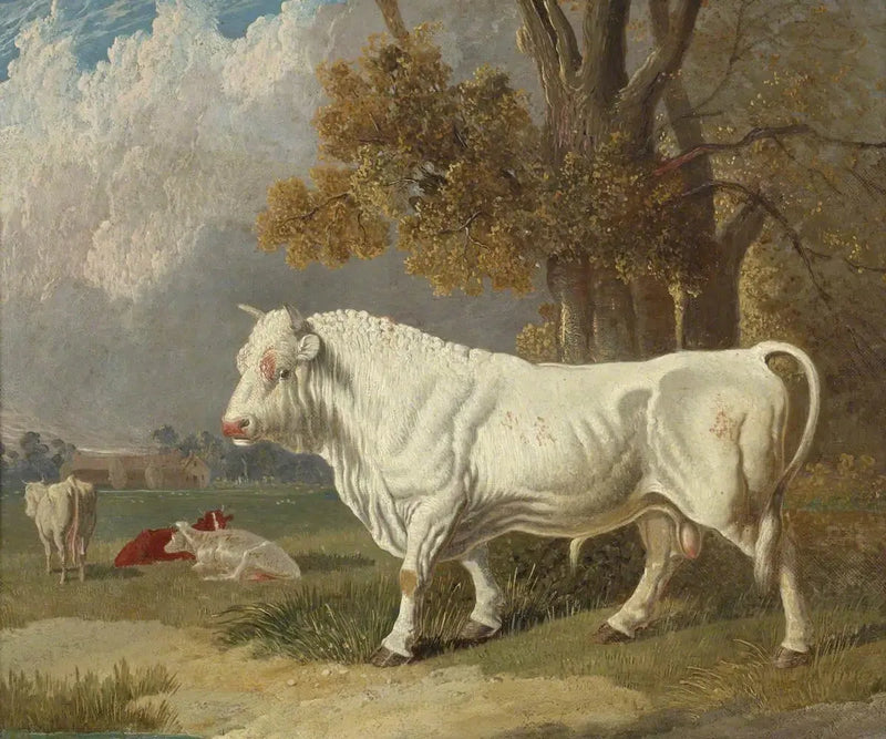 Hvid tyr, Fulbourn, Cambridgeshire, 1830 - John Frederick Herring, Sr.