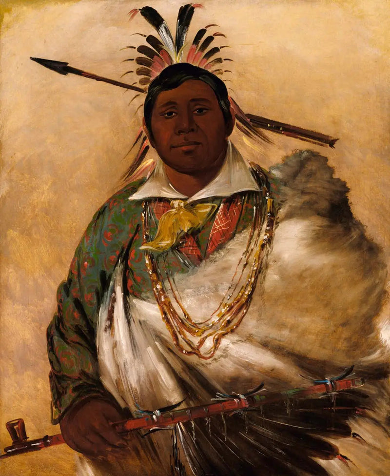 Téh-ke-néh-kee, sort frakke, en chef - George Catlin