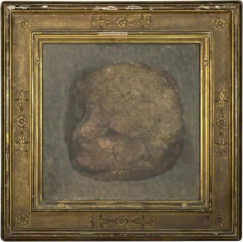 Englehoved - Antonio da Correggio
